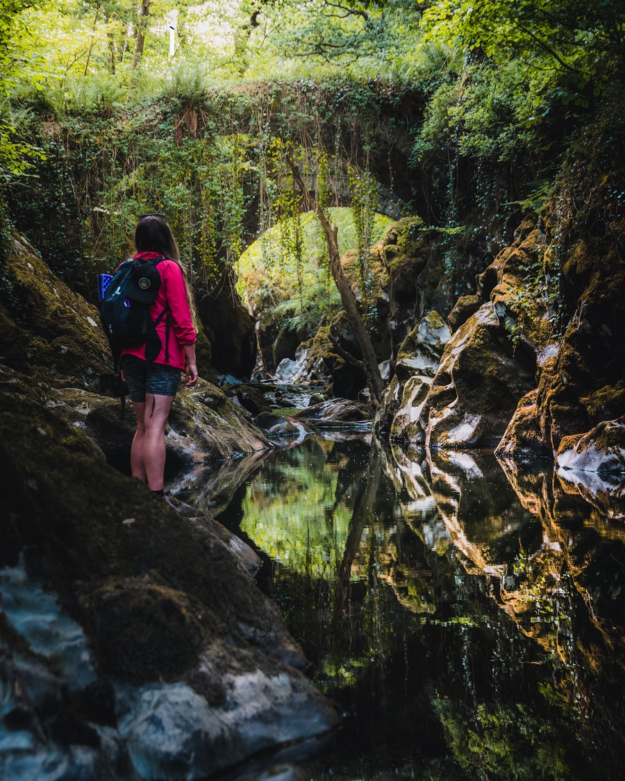 What Is Forest Bathing? The Healing Power Of Nature's Spa